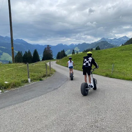 Ski-inout 4br Alpen Chalet, Views & Fire *