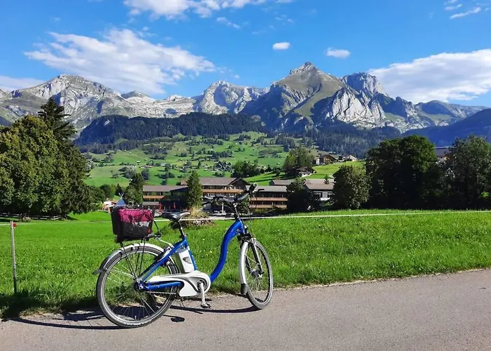 Ski-inout 4br Alpen Chalet, Views & Fire Alt St. Johann