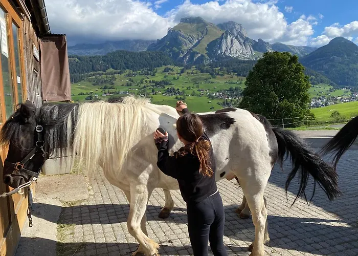 Ski-inout 4br Alpen Chalet, Views & Fire *