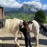 Ski-inout 4br Alpen Chalet, Views & Fire *