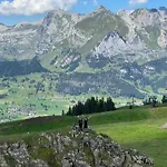 Ski-inout 4br Alpen Chalet, Views & Fire